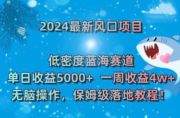 2024最新风口项目，低密度蓝海赛道，单日收益5000+，一周收益4w+！【揭秘】-91创业项目库