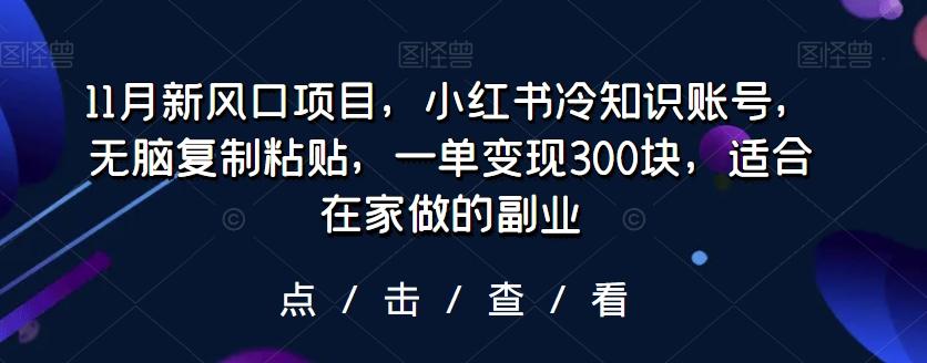 11月新风口项目，小红书冷知识账号，无脑复制粘贴，一单变现300块，适合在家做的副业-91创业项目库