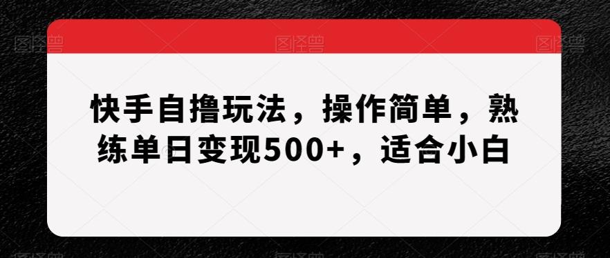 快手自撸玩法，操作简单，熟练单日变现500+，适合小白【揭秘】-91创业项目库