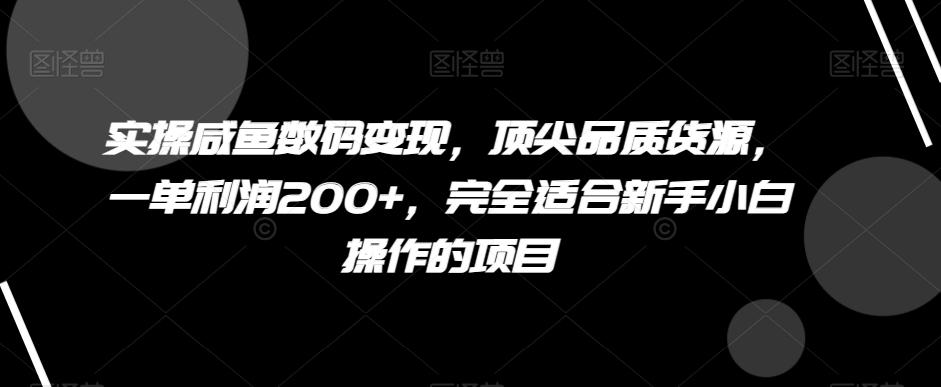 实操咸鱼数码变现，顶尖品质货源，一单利润200+，完全适合新手小白操作的项目【揭秘】-91创业项目库
