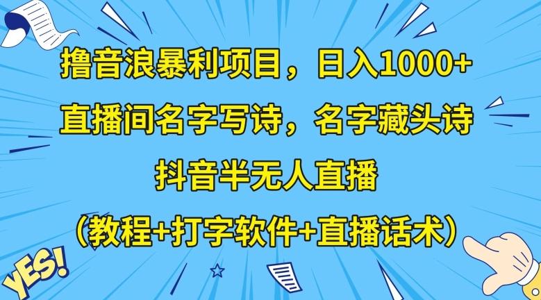 撸音浪暴利项目，日入1000+，直播间名字写诗，名字藏头诗，抖音半无人直播（教程+打字软件+直播话术）【揭秘】-91创业项目库