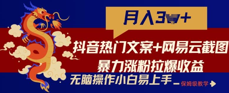 抖音热门文案+网易云截图暴力涨粉拉爆收益玩法，小白无脑操作，简单易上手【揭秘】-91创业项目库