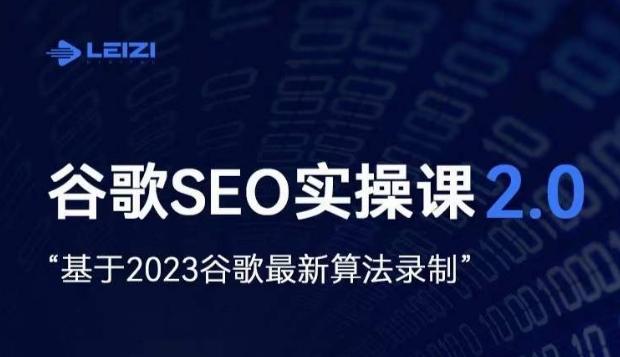 雷子·谷歌SEO 2.0实战课，独立站询盘自由必备，基于2023谷歌最新算法录制-91创业项目库