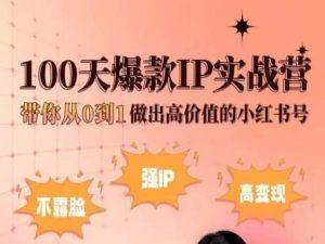 小红书100天爆款IP实战营，带你从0到1做出高价值的小红书号-91创业项目库