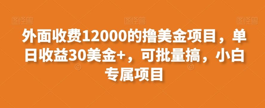 外面收费12000的撸美金项目，单日收益30美金+，可批量搞，小白专属项目-91创业项目库