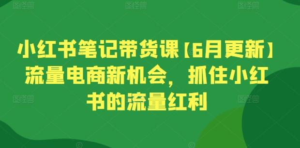 小红书笔记带货课【6月更新】流量电商新机会，抓住小红书的流量红利-91创业项目库