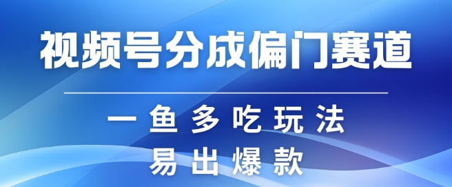 视频号创作者分成计划偏门类目，容易爆流，实拍内容简单易做【揭秘】-91创业项目库