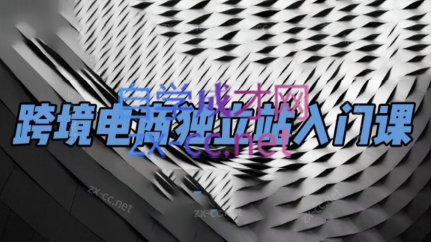 团长·跨境电商独立站入门课(2小时精华)-91创业项目库