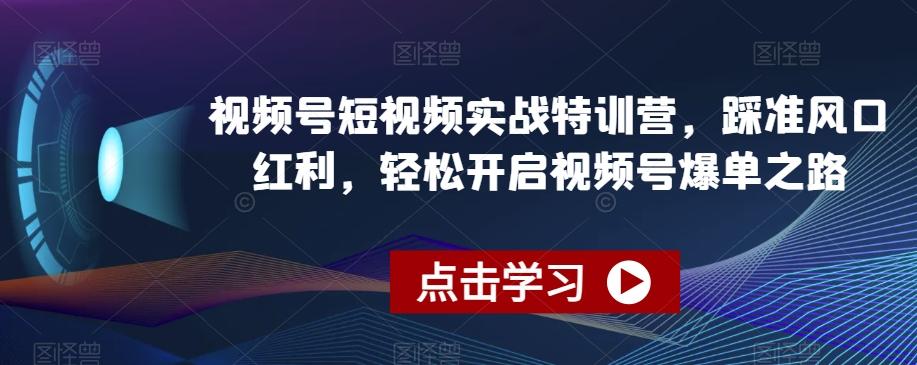 视频号短视频实战特训营，踩准风口红利，轻松开启视频号爆单之路-91创业项目库