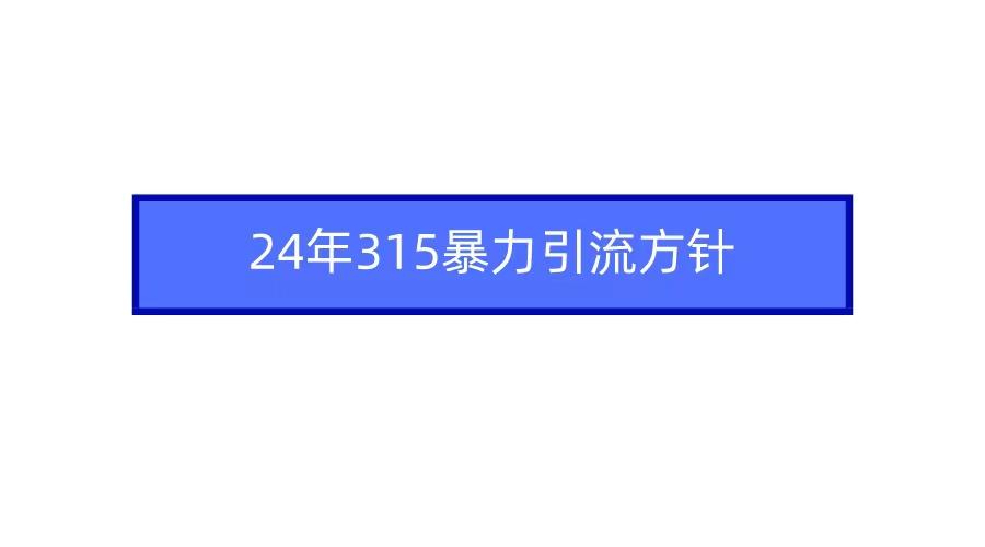 (9398期)2024年315暴力引流方针-91创业项目库