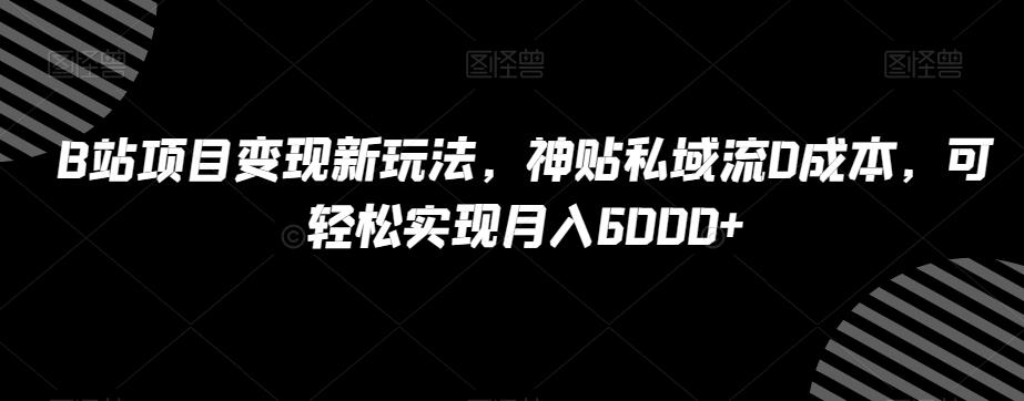 B站项目变现新玩法，神贴私域流0成本，可轻松实现月入6000+【揭秘】-91创业项目库