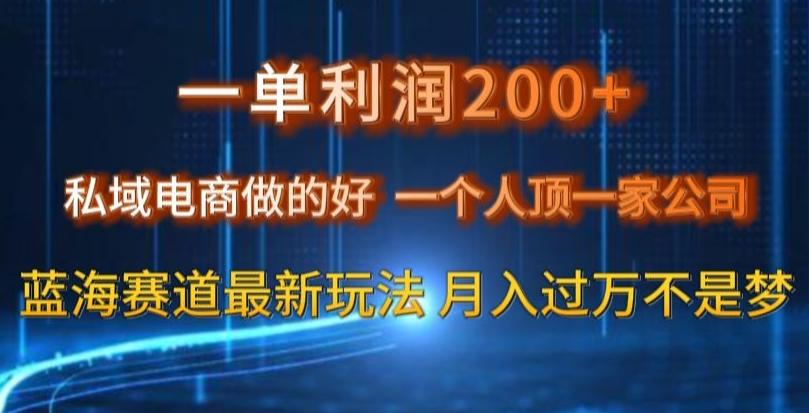 一单利润200私域电商做的好，一个人顶一家公司蓝海赛道最新玩法【揭秘】-91创业项目库