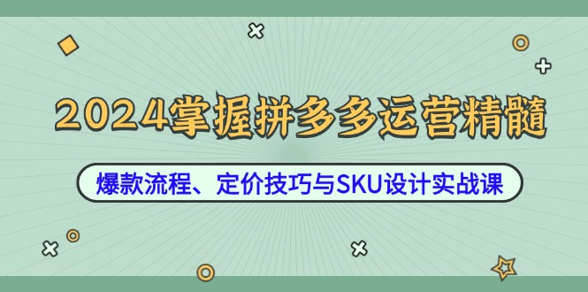 2024掌握拼多多运营精髓：爆款流程、定价技巧与SKU设计实战课-91创业项目库