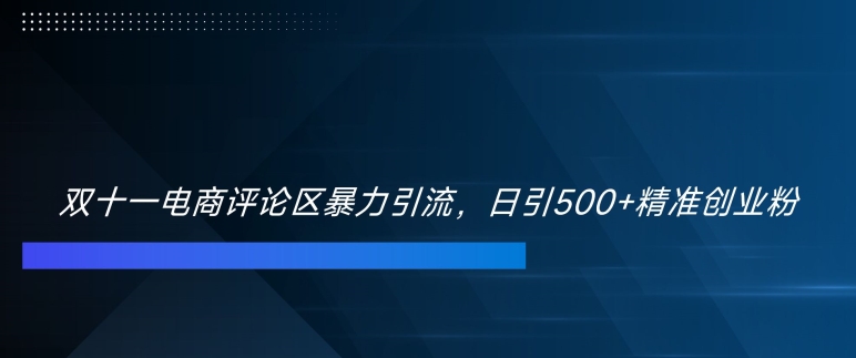 双十一电商评论区暴力引流，日引500+精准创业粉【揭秘】-91创业项目库
