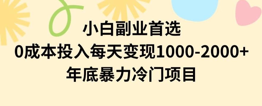 小白副业首选，0成本投入，每天变现1000-2000年底暴力冷门项目【揭秘】-91创业项目库
