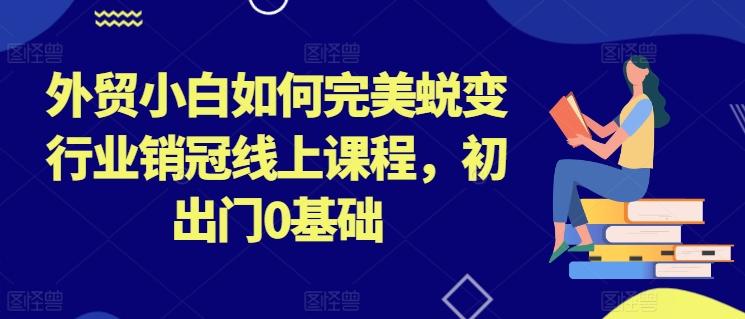 外贸小白如何完美蜕变行业销冠线上课程，初出门0基础-91创业项目库