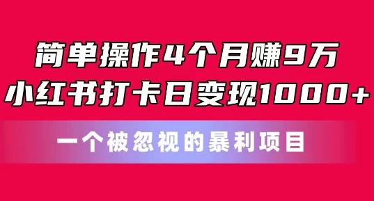 简单操作4个月赚9w，小红书打卡日变现1k，一个被忽视的暴力项目【揭秘】-91创业项目库