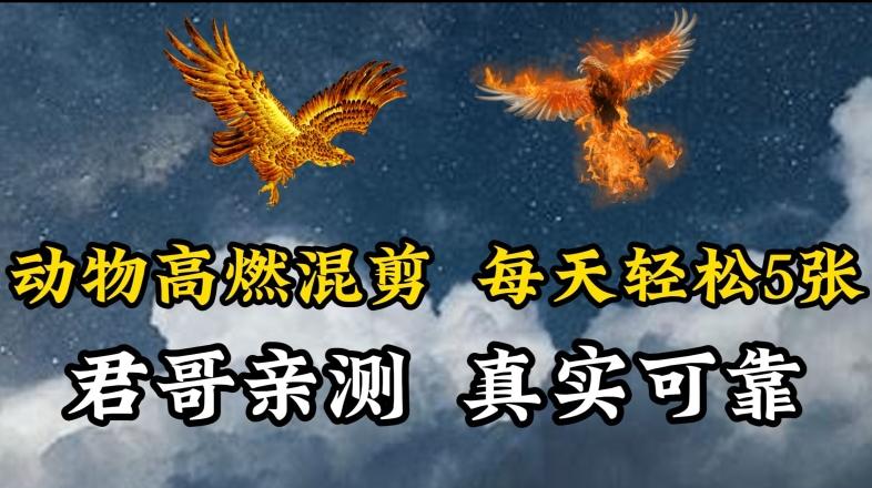 动物超燃混剪，每天轻松5张，剪辑简单大家爱看【揭秘】-91创业项目库