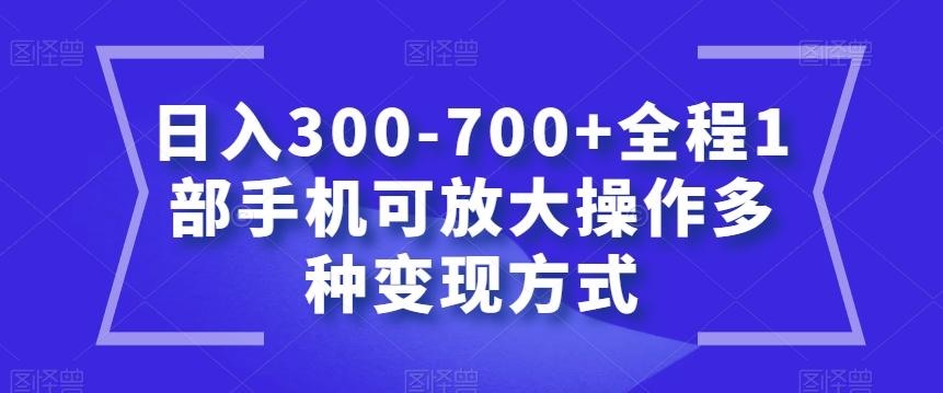 日入300-700+全程1部手机可放大操作多种变现方式【揭秘】-91创业项目库