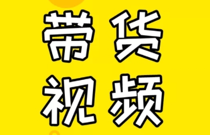 芒果老师·教你做抖音短视频和直播带货-91创业项目库