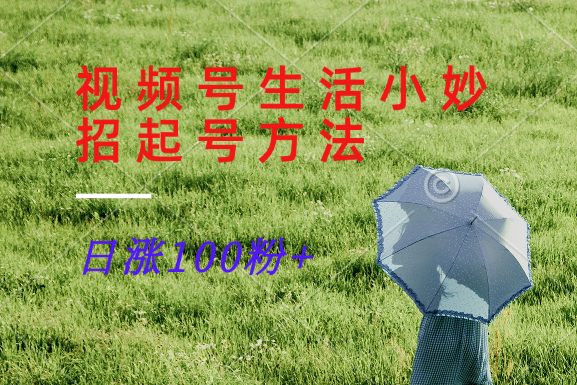 视频号生活小妙招分享赛道， 起号涨粉新方法，日涨100粉-91创业项目库