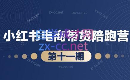 盗坤·小红书电商带货陪跑营(第十一期)-91创业项目库