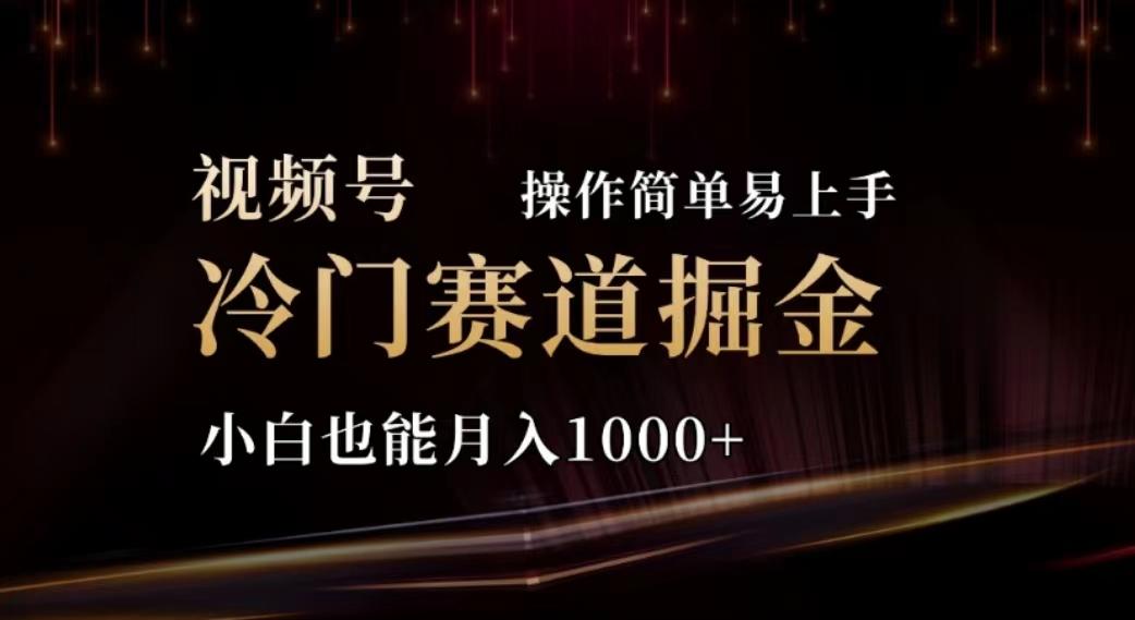 2024视频号冷门赛道掘金，操作简单轻松上手，小白也能月入1000+-91创业项目库