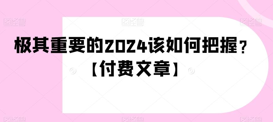 极其重要的2024该如何把握？【付费文章】-91创业项目库