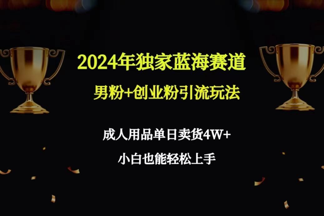 2024年独家蓝海赛道男粉+创业粉引流玩法，成人用品单日卖货4W+保姆教程-91创业项目库