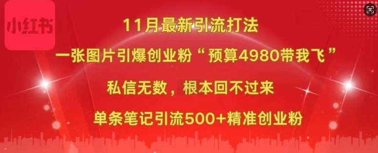 小红书11月最新图片打粉，一张图片引爆创业粉，“预算4980带我飞”，单条引流500+精准创业粉-91创业项目库