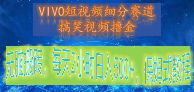 VIVO短视频细分赛道，搞笑视频撸金，无脑搬砖，每天2小时日入500+，保姆式教程-91创业项目库