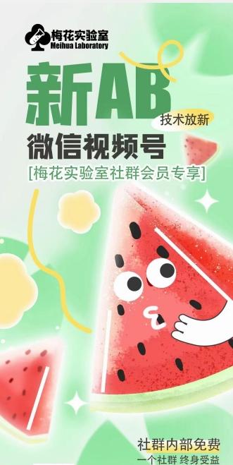 梅花实验室2024年AB技术视频号AB合成破解版-91创业项目库