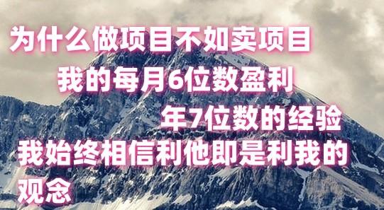 做项目不如卖项目，每月6位数盈利，年7位数经验-91创业项目库