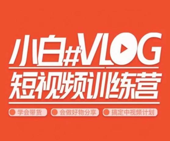 小呆说视–小白VLOG短视频训练营，学会带货、好物、直播、中视频-91创业项目库