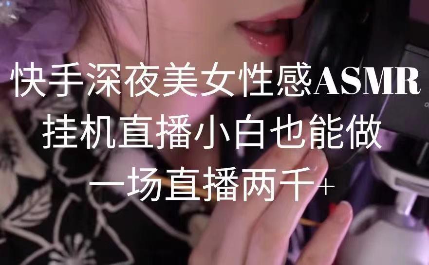 快手深夜美女性感ASMR挂机直播，小白也能做，一场直播两千+-91创业项目库
