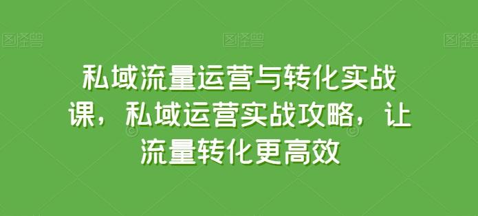 私域流量运营与转化实战课，私域运营实战攻略，让流量转化更高效-91创业项目库