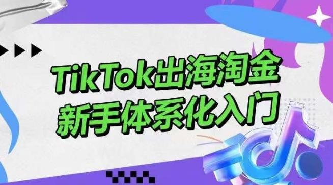 TikTok出海淘金，新手体系化入门，零基础快速入门，掌握短视频、直播带货等引流到变现的知识-91创业项目库