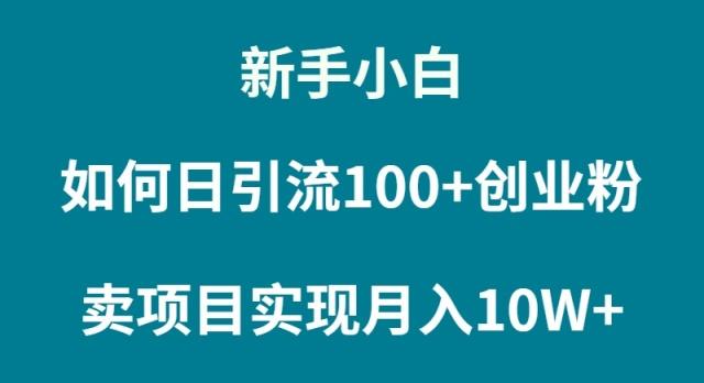 (9556期)新手小白如何通过卖项目实现月入10W+-91创业项目库