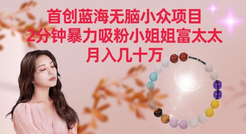 首创蓝海无脑小众项目，2分钟暴力吸粉小姐姐富太太，月入几十万【揭秘】-91创业项目库