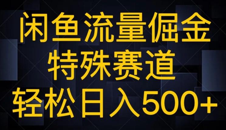 闲鱼流量倔金，特殊赛道，轻松日入500+-91创业项目库