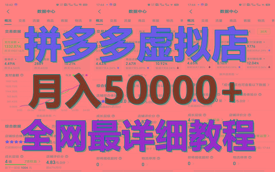 拼多多虚拟电商训练营月入50000+你也行，暴利稳定长久，副业首选-91创业项目库
