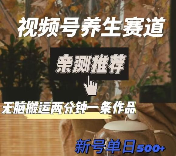 视频号养生赛道暴力掘金，无脑搬运，两分钟一条作品-新日单入500+-91创业项目库