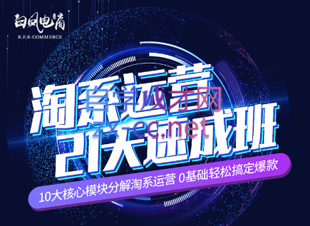 淘系运营21天速成班(更新24年6月)-91创业项目库