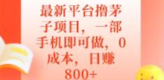 最新平台撸茅子项目，一部手机即可做，0成本，日赚800+-91创业项目库