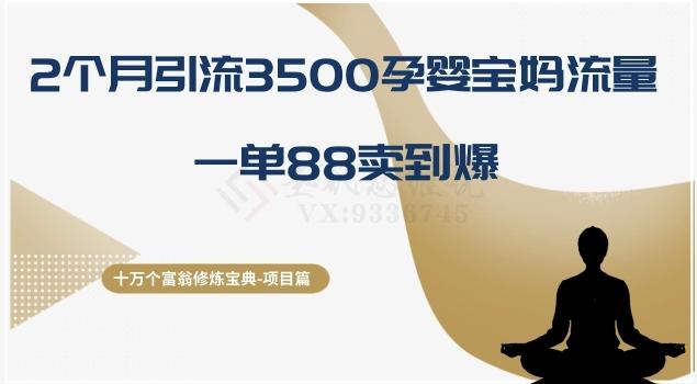 十万个富翁修炼宝典之13.2个月引流3500孕婴宝妈流量，一单88卖到爆-91创业项目库