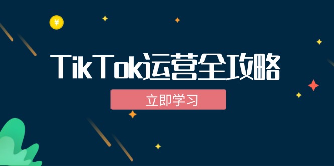TikTok实战运营全攻略：从下载软件到变现，抖音海外版实操教程-91创业项目库