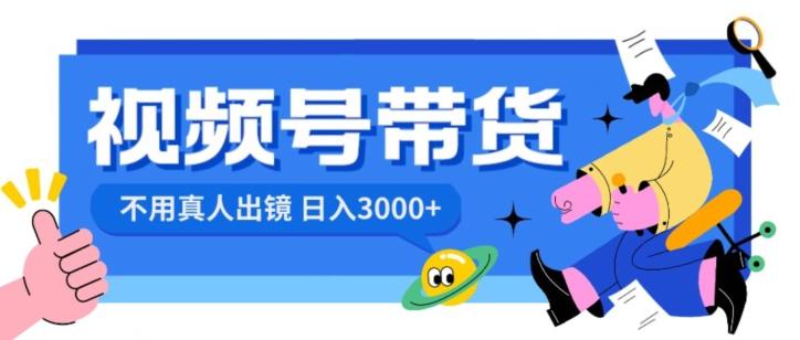视频号带货，日入3000+，不用真人出镜-91创业项目库