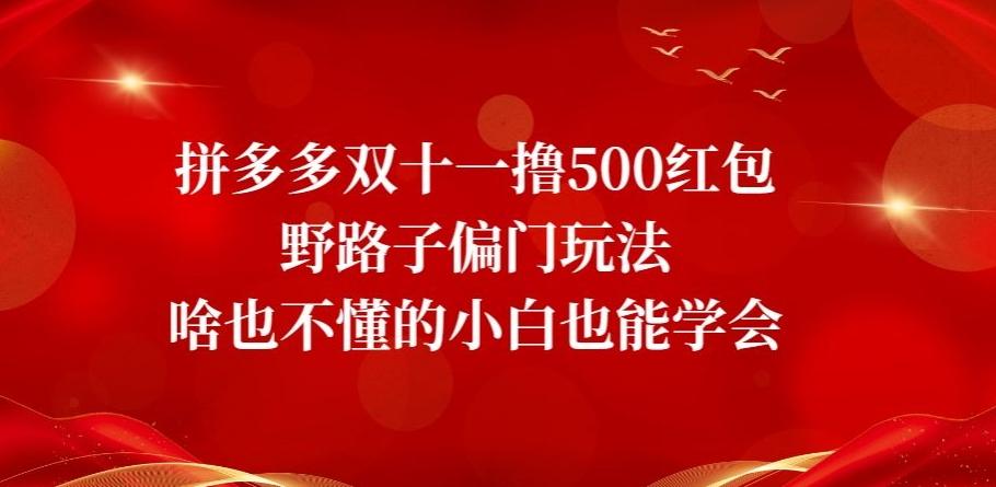拼多多双十一撸500红包野路子偏门玩法，啥也不懂的小白也能学会【揭秘】-91创业项目库